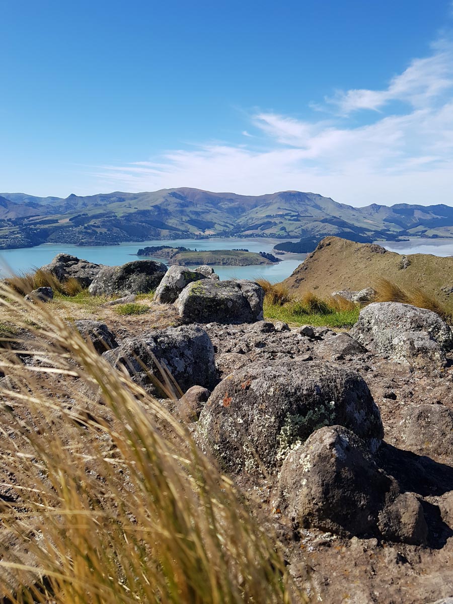 port hills web
