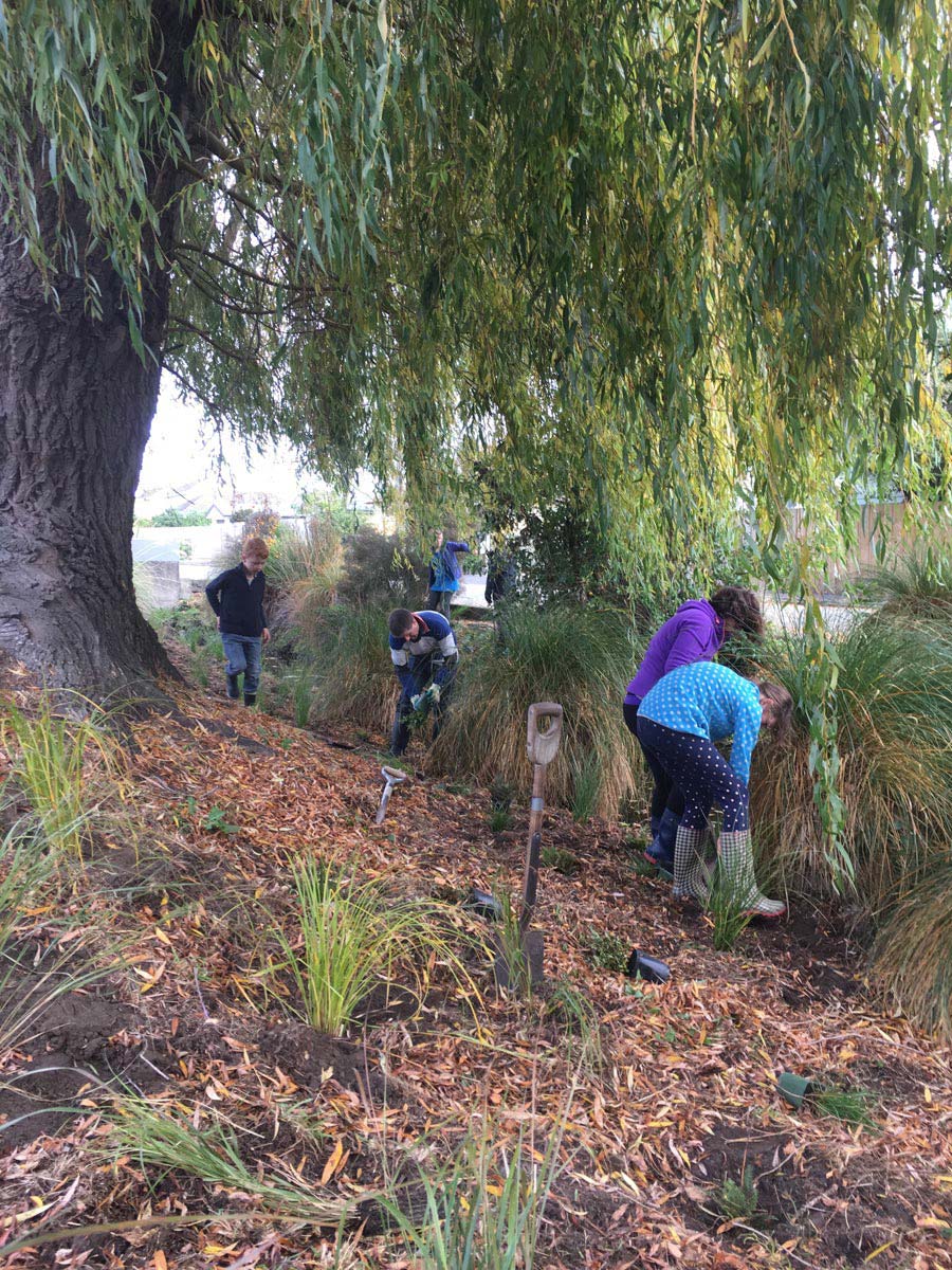 Restoration planting 7 web