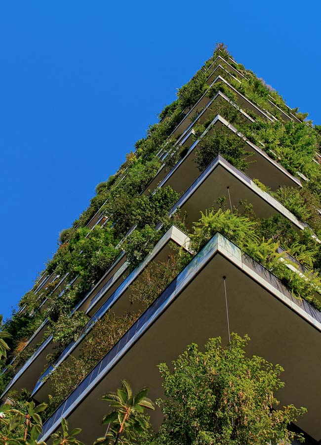 Garden building