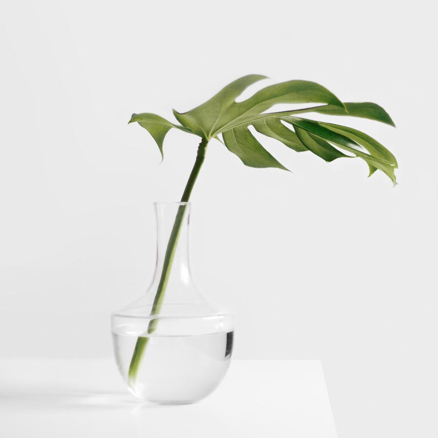 sarah dorweiler 123483 unsplash web