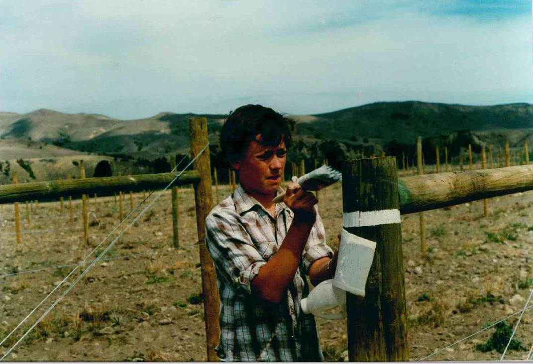 Ed Donaldson painting vineyard posts. Ed Donaldson painting vineyard posts