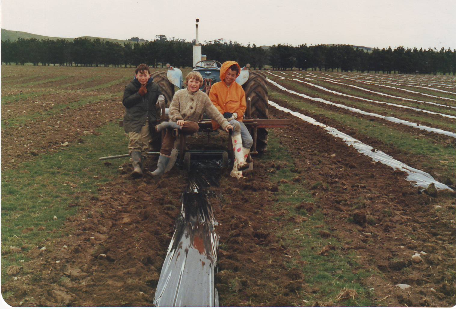 The Donaldson brothers helping plant the Pegasus Bay vineyard. The brothers helping plant the Pegasus Bay vineyard