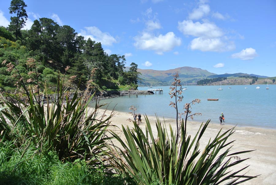 Corsair Bay. Image: ChristchurchNZ Corsair Bay view towards Quail Island credit ChristchurchNZ web
