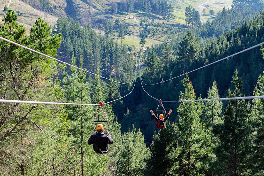 Christchurch Adventure Park Zipliners web