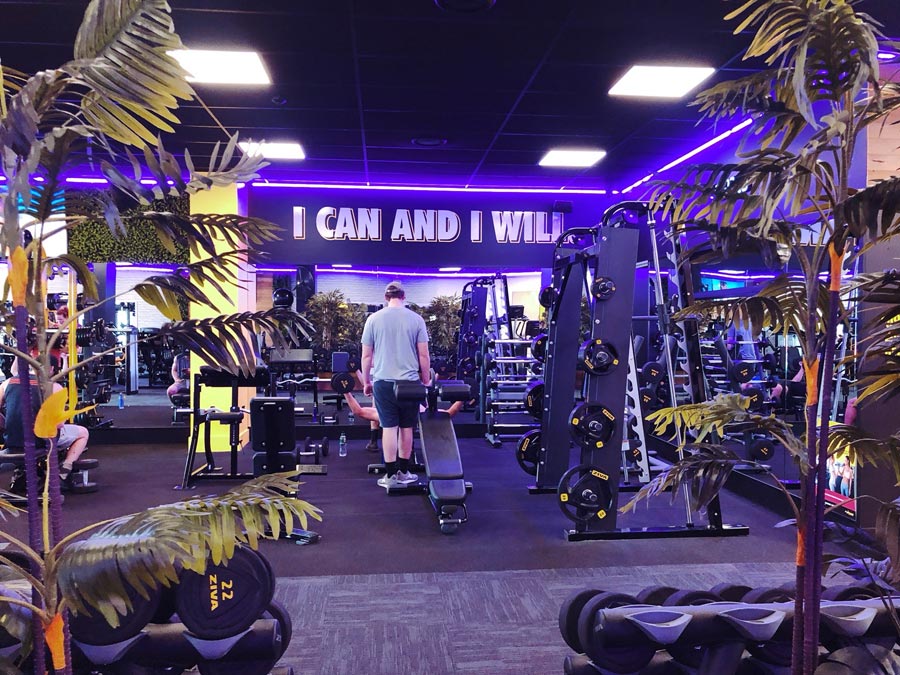 Flex Fitness flex fitness web