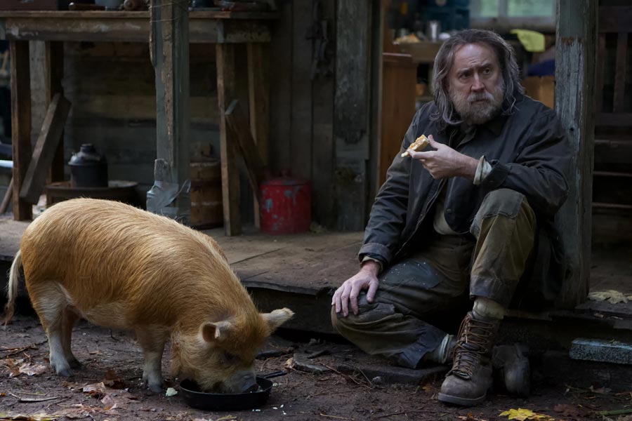Pig Pig web