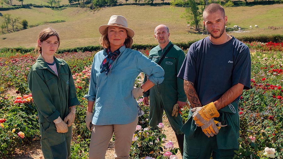 The Rose Maker The rose maker web