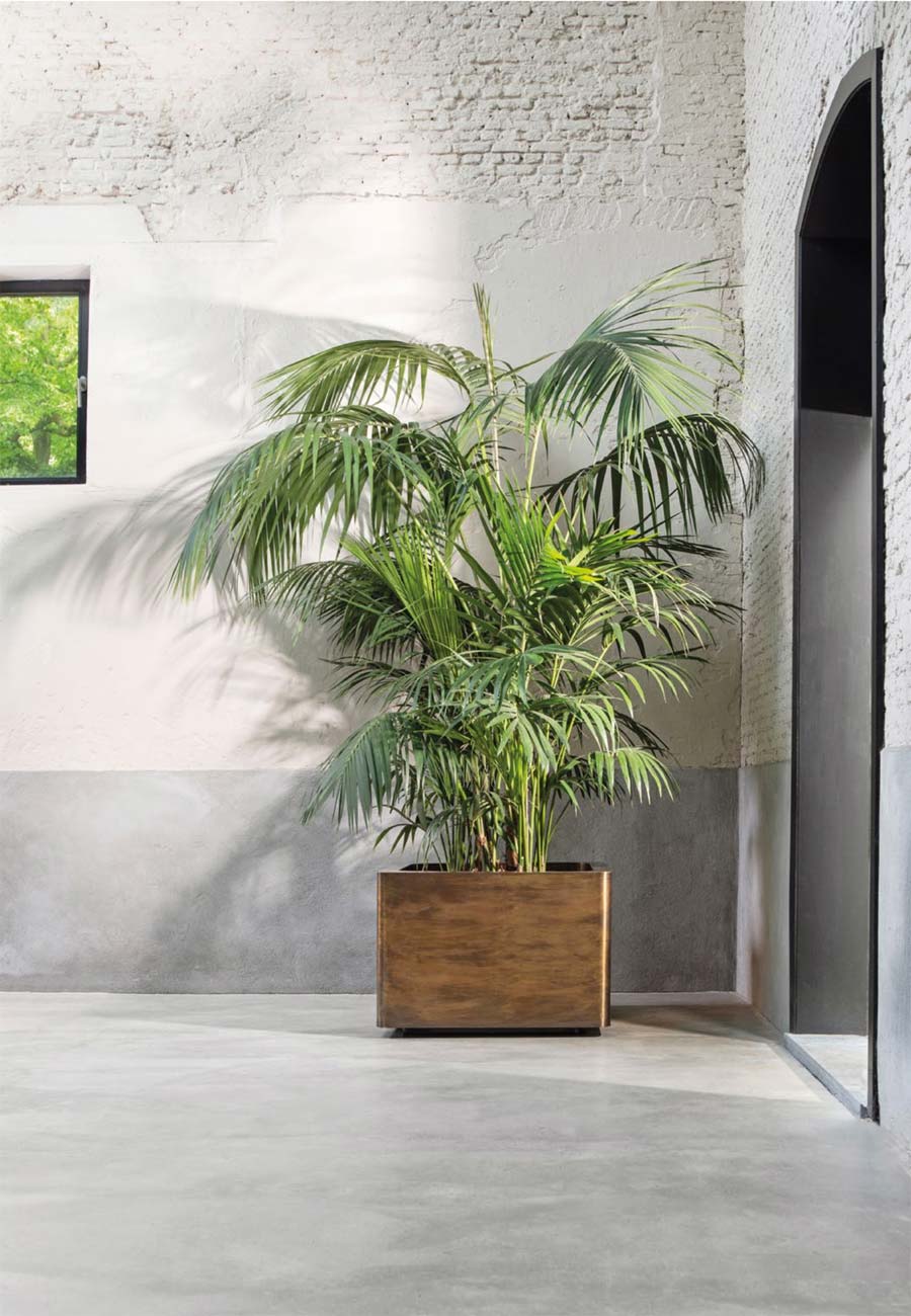 Lviv Cube Brass Planter from ECC LVIV planter
