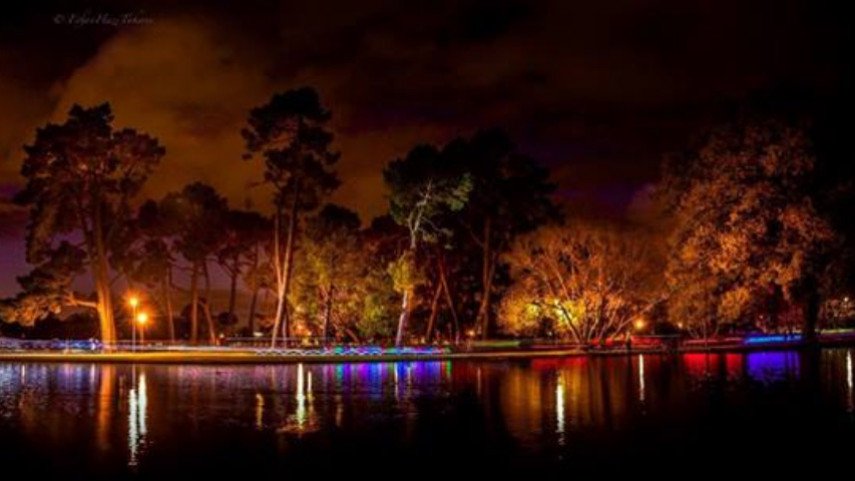 Night Light Bike Ride
