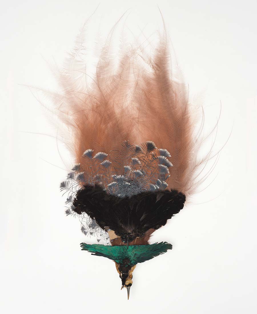 Ship Nails and Tail Feathers, Christchurch Art Gallery Te Puna o Waiwhetū Black hat headress