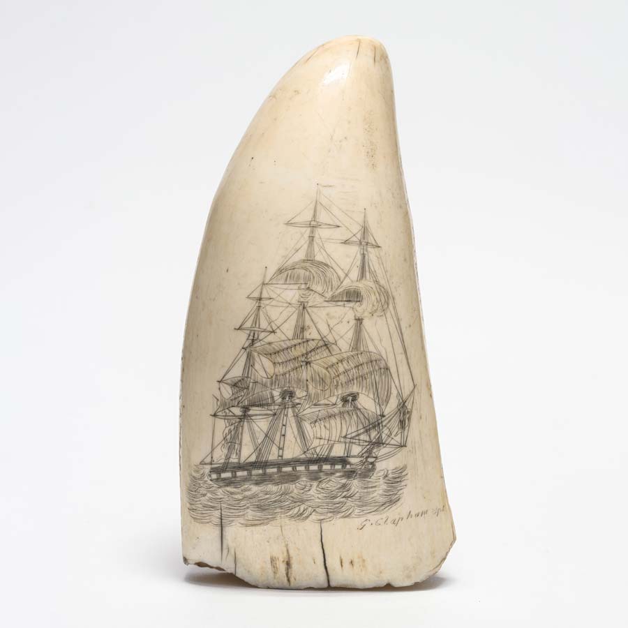 Ship Nails and Tail Feathers, Christchurch Art Gallery Te Puna o Waiwhetū Whalers scrimshaw 1