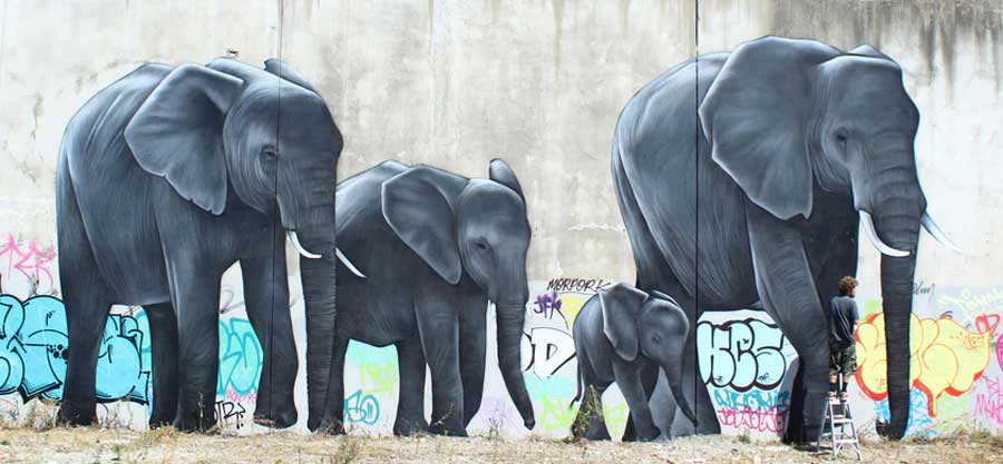 Elephants, Owen Dippie, 2015 elephants on manchester owen dippie