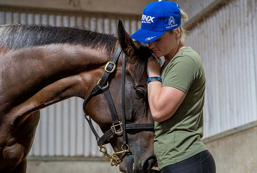 a horse named winx