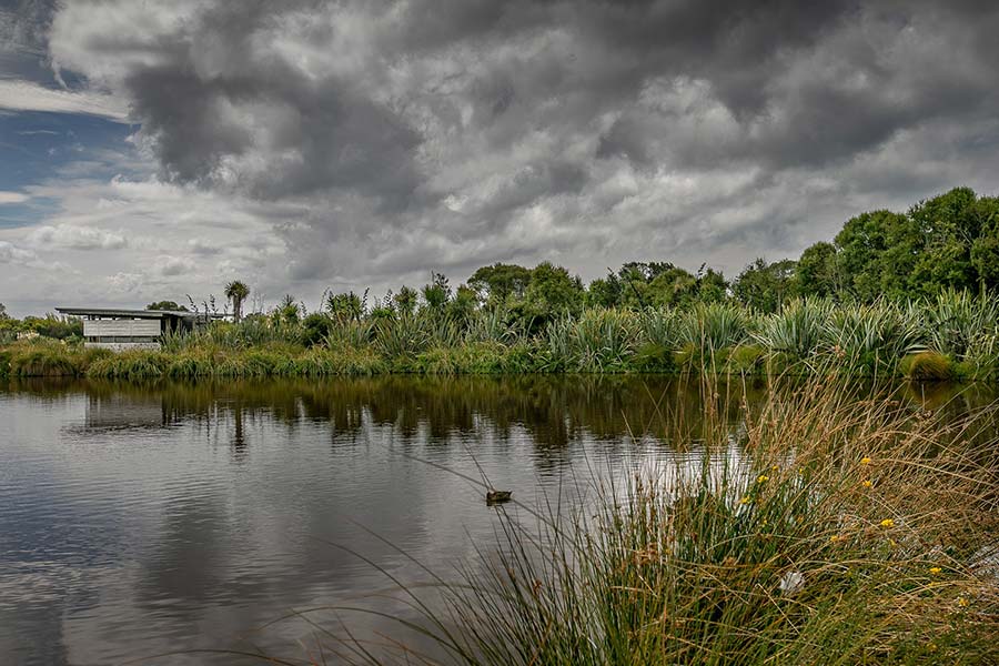 Ōruapaeroa Travis Wetland. Image: Christchurch City Council travis wetland