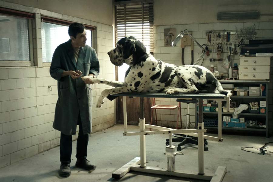 Dogman Dogman 3