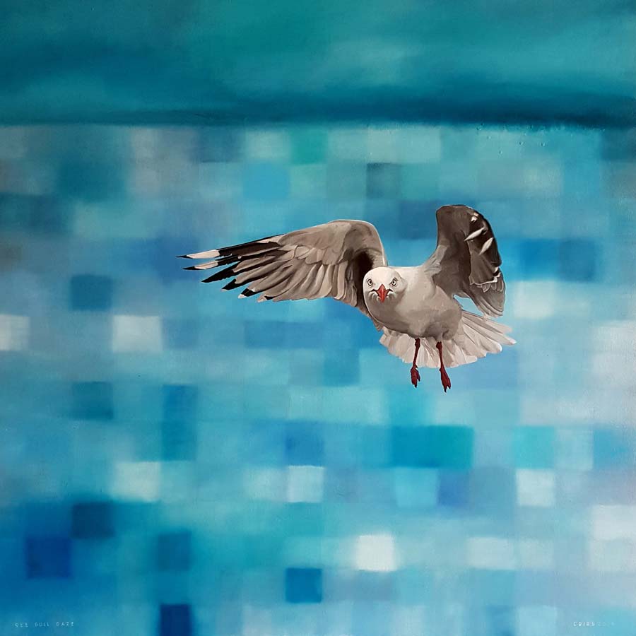 Tony Cribb, 'See Gull Gaze' See Gull Gaze