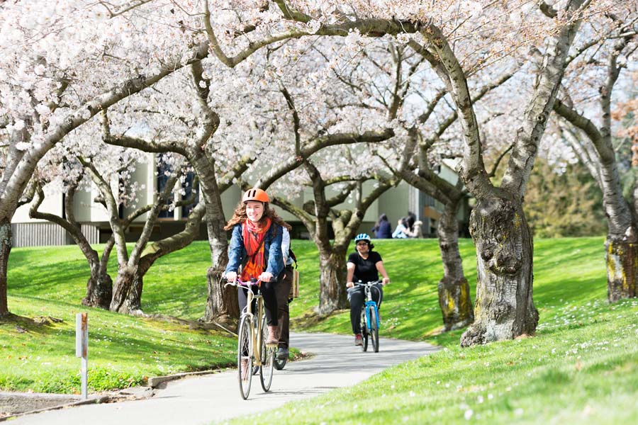 Image: CCC ccc cycling
