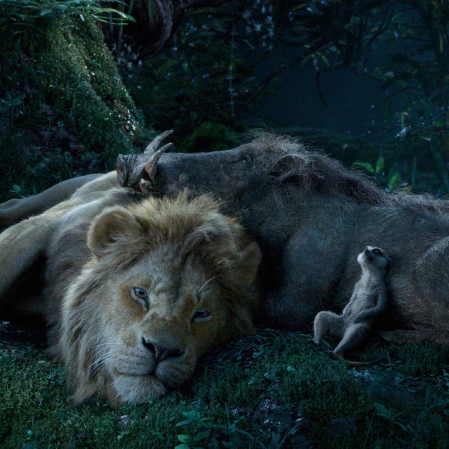 The Lion King The Lion King