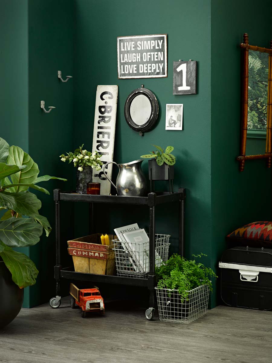 Amber Armitage living green Resene Family Tree Colorwood Tiri photo Flash Studios