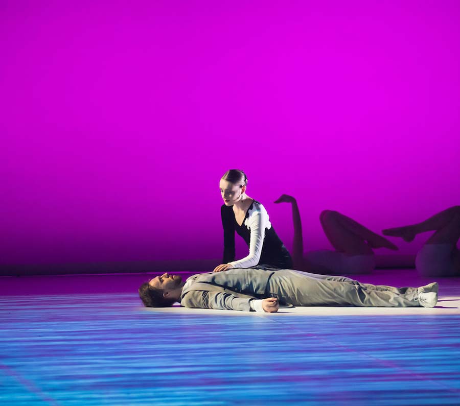 Photo: Stephen A'Court rnzb black swan white swan 1