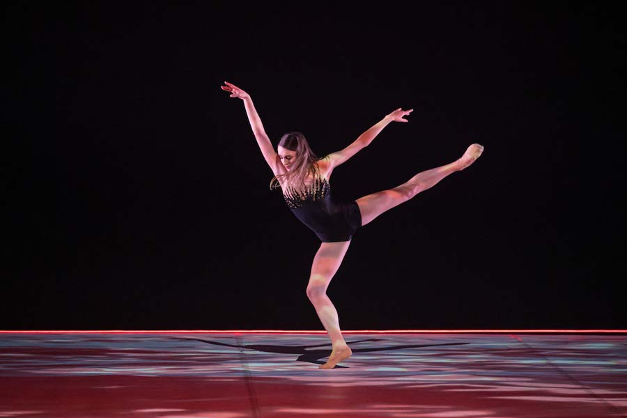 Photo: Stephen A'Court rnzb black swan white swan 2