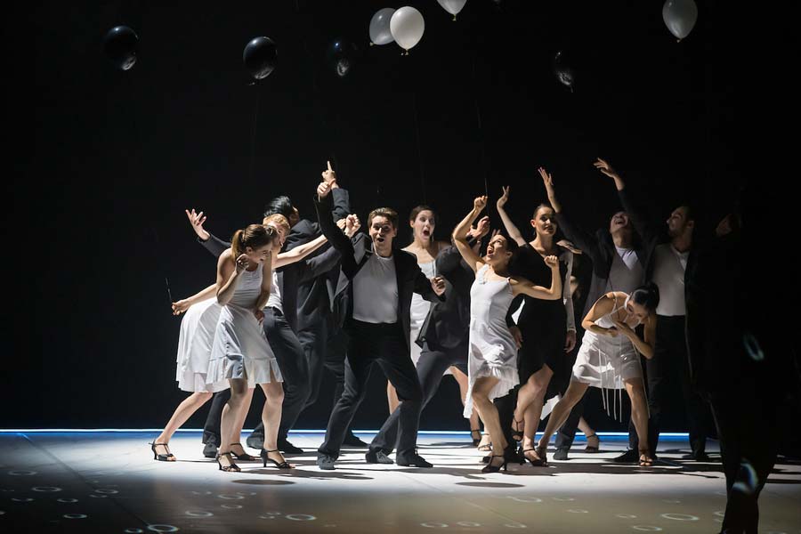 Photo: Stephen A'Court rnzb black swan white swan 3