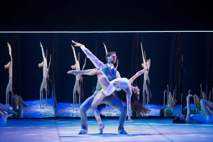 Photo: Stephen A'Court rnzb black swan white swan 5