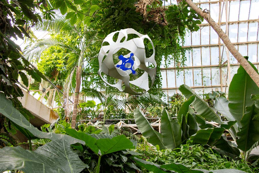 HYBRID ENCOUNTERS, 2019 – CHIARA CORBELLETTO hybrid encounters chiara corbelletto