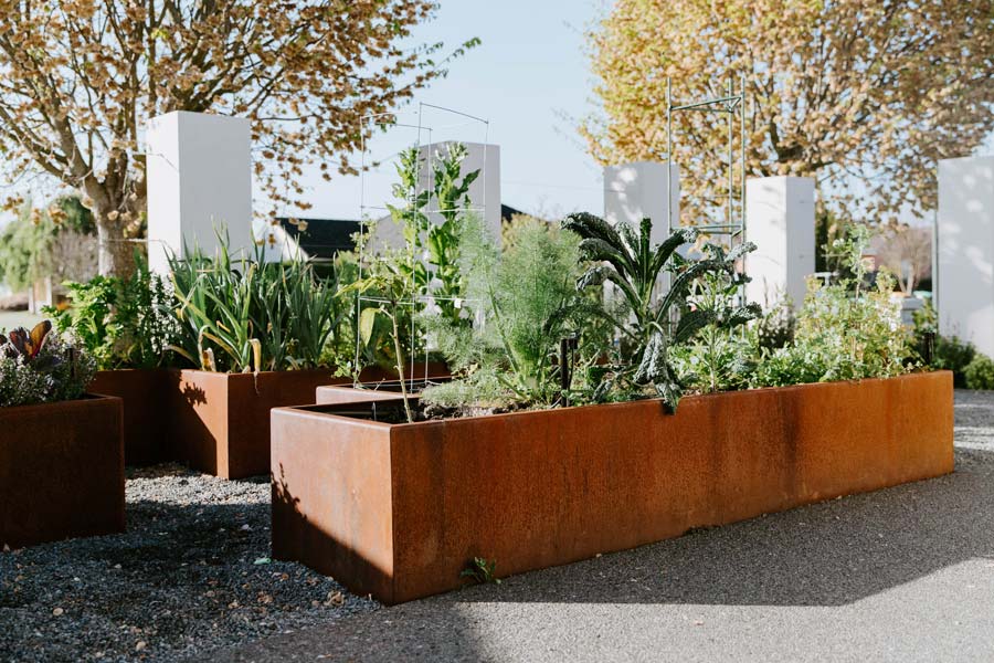 grow your own 1