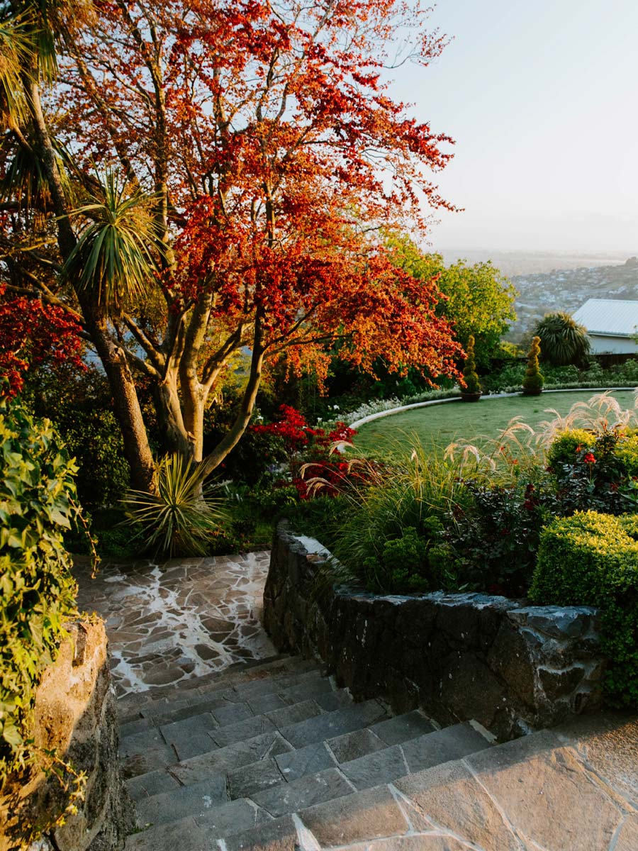 steps lawn autumn col