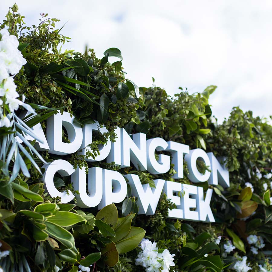 Addington Cup Week Social Media Wall