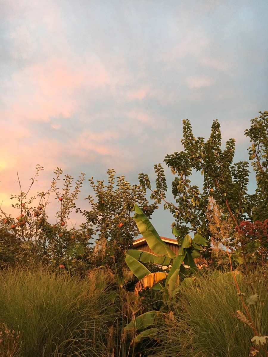 PRG garden
