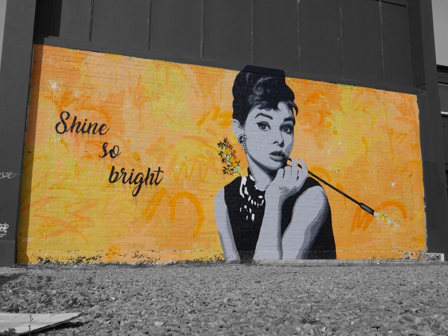audrey bw web