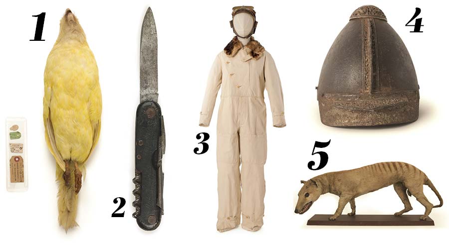 Images: Jane Ussher house of taonga treasures