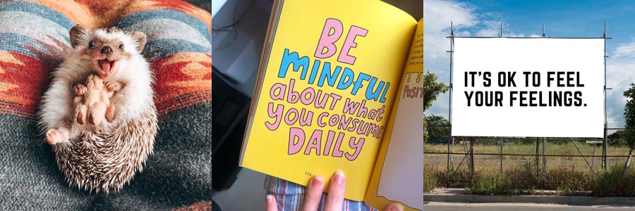Feel good follows: @mr.pokee, @thehappynewspaper, @happsters instagram