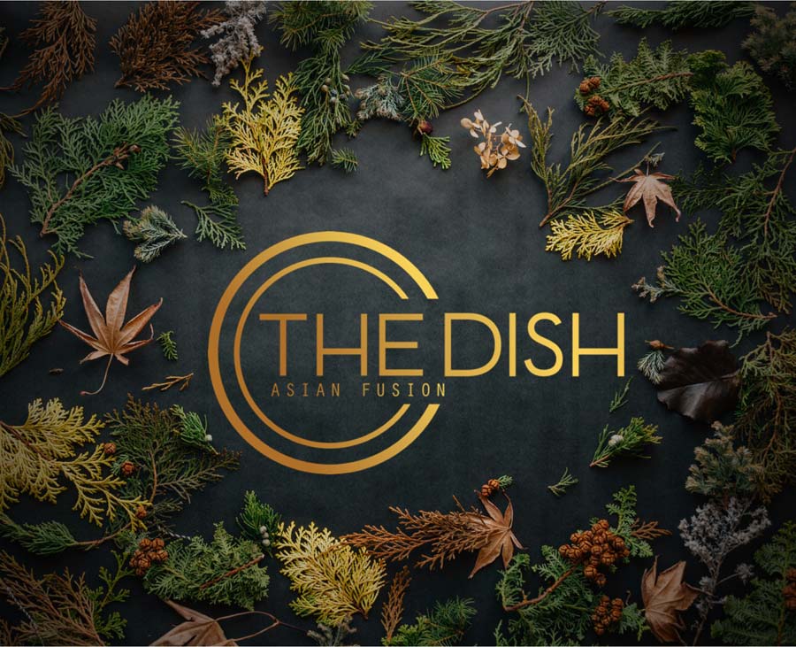 the dish logo on wall 1