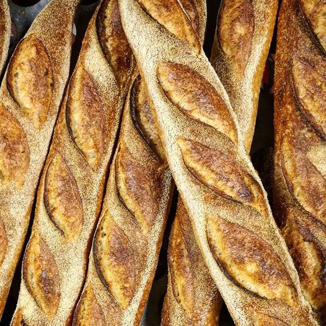Bellbird Bakery Bellbird